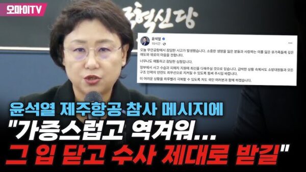 인면수심의 내란무리들