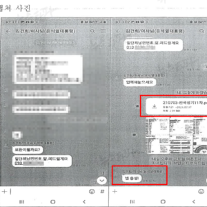 명태균, 윤석열·김건희에 미공표여론조사 수차례 제공