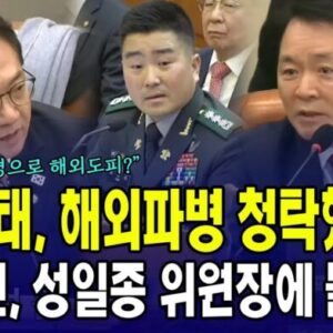 내란·반란무리의 극악무도한 거짓공작